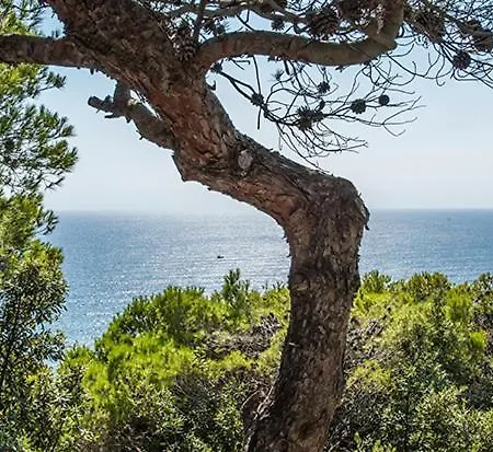 Loncello By Toscana-bella Villa